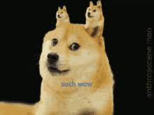 The best gifs are on giphy. Doge Gifs Tenor