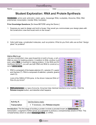 Rna and protein synthesis answer key vocabulary: Student Exploration Sheet Growing Plants