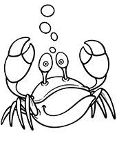 Have you noticed that the ocean appears a different color in different regions? Water Animals Coloring Pages For Children Topcoloringpages Net