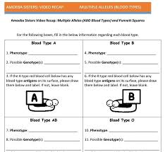 Multiple Allele And Punnett Squares Handout Made By The Amoeba Sisters Click To Visit Website And Scroll Down To Genetics Activities Handouts Punnett Squares