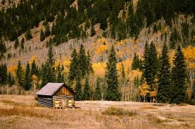 The choices are endless concerning design and look. Living In A Cabin What You Need To Know