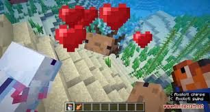 This gives an axolotl 14 health points (because 1 heart = 2 health points). Minecraft 1 17 Snapshot 20w51a Axolotls Are The Cutest Mobs Ever Kingminecraftmod Com