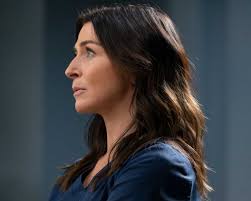 New 'Grey's Anatomy' Season 22 Images and Synopsis Promise the Show's Most  Intense Premiere Yet