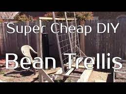 Find the best designs for 2021! Easy Cheap Diy Bean Trellis For Your Garden Youtube