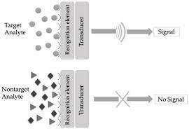 See a liquid that might be a chemical agent. Biosensors Free Full Text Plasmonic Sensors For Monitoring Biological And Chemical Threat Agents Html