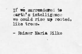 Pin By Brinda Pancholi Shah On Inspire Quotes Cool Words Rilke Quotes