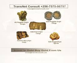 The death mask of tutankhamen, who died in 1323 bc, contained 100 kg of the metal. Gold Suppliers In Uganda Gold Dore Bar Nuggets Dust For Sale Company Name Transnet Consults Mansa Alingo Agent Whatsapp Gold Nugget Gold Supplier Nugget