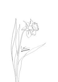Minimal Daffodil Line Drawing Print Flower Line Drawings Line Drawing Tattoos Drawing Prints I got some daffodils earlier in the spring and decided to draw them, since i rarely get to draw flowers. pinterest