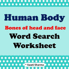 This set is often saved in the same folder as. Bones In Our Body Worksheets Teaching Resources Tpt