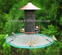 Bird Feeder For Large Birds Bird Seed Catcher Large At Backyard Wild Birds Large Bird Feeders Squirrel Proof Bird Feeders Backyard Birds