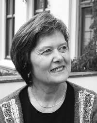 Search for lost nisser continues