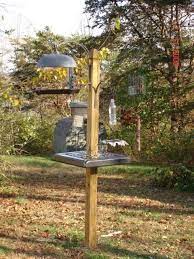 Squirrel Baffel Homemade Bird Feeders Bird Feeder Poles Bird Feeders