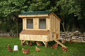 Check spelling or type a new query. Kandang Ayam Diy Untuk 10 Ekor Ayam Cara Melakukannya Arahan Langkah Demi Langkah Gambar Dimensi