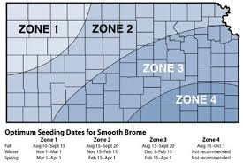 We did not find results for: Fall Planting Of Smooth Bromegrass Pastures Farms Com