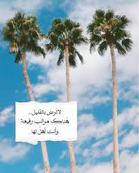 Pin By M H On صور تموت Words Quotes Arabic Love Quotes Arabic Quotes