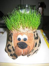 How To Grow A Chia Pet Chia Pet Joyous Health Health Benefits
