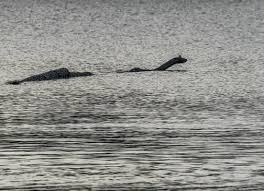 Is The Loch Ness Monster Mystery Finally Solved? An Expert Thinks So