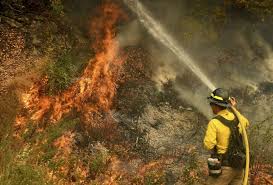 According to bc wildfire service, there have been 239 wildfires throughout the province between april 1 to july 29 with approximately 85% of which were attributed to human activity. 16 B C Firefighters Get Covid 19 After Battling California Wildfires News 1130