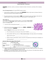 Hqf3rb prior knowledge questions (do these before using. Modified Cell Division Gizmo