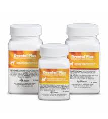 Drontal Plus Praziquantel Pyrantel Pamoate Febantel