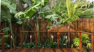 See more ideas about bamboo garden, bamboo, garden design. Bamboo Garden Decorating Ideas Design Trends Premium Psd Vector Downloads