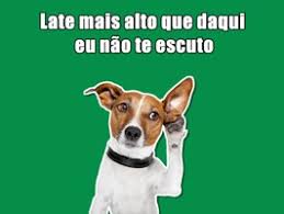 We did not find results for: Figurinhas De Cachorros By Yassine Ouchlah