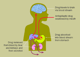 Patients generally require many years of treatment, so consideration of side effects is important. Neurology Antiepileptic Medications