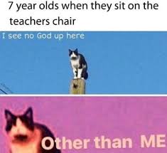 15 Animal Memes To Happily Scroll Through When You Re Bored Stupid Memes Funny Memes Memes