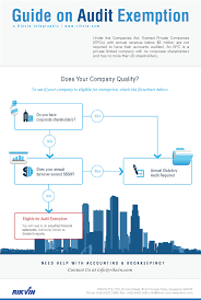 Audit Exemption Guide For Singapore Companies Audit Company Singapore