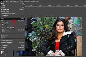 How To Edit A Photo In Gimp 10 Steps Davies Media Design