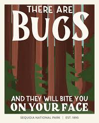 We make beautifully designed star maps that show the unique alignment of the stars in a place and time chosen by you. I Illustrated National Parks In America Based On Their Worst Review And I Hope They Will Make You Laugh 16 Pics Bored Panda