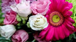 In genere quando si avvicina la data di compleanno di qualcuno a cui teniamo in particolare o a cui vogliamo far i fiori lasciano inevitabilmente il segno e occorre porre attenzione alla confezione e al tipo di messaggio che essi stessi indicano: Il Mazzo Di Fiori Giusto Per Ogni Occasione Ed Anniversario