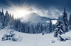 Winter Forest Wallpaper Nature Forest Winter Forest Mountain Sun Snow Fir Trees Winter Landscape Winter Forest Forest Wallpaper Ultra hd 4k forest wallpapers for desktop, pc, laptop, iphone, android phone, smartphone, imac, macbook, tablet, mobile device. pinterest