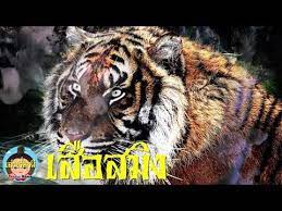 พ ฟ อกก เล าเร องผ เส อสม ง