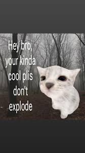 I Think Youre Cool Dont Explode | TikTok
