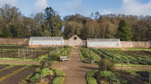 Kitchen Garden Project at Florence Court | National Trust