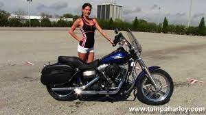 2006 Street Bob Value Off 67 Medpharmres Com