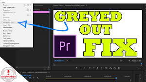 Adjustment Layer Greyed Out In Adobe Premiere Fix Youtube