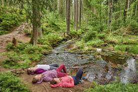 Zudem erfordern sie eine hohe konzentration. Innere Balance Fichtelgebirge