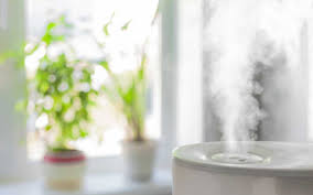 Why Air Purifiers Are So Important Today