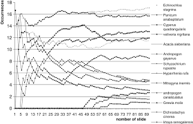 Image result for Andropogon canaliculatus