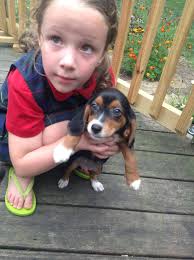 We have names for Layla's puppies!!! They received their first booster last  week and will be ready for adoption in 2 weeks!! There's only one boy. 💙  His name is Uno, lol,