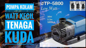 Beli pompa kolam ikan koi sunsun 2800 lph rps 18w pompa filter skimer kolam. Pompa Kolam Koi Watt Kecil Semburan Kencang Ikikoiku