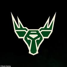 The national basketball association (nba) was established on june 6, 1946 and originally known as the basketball association of american in 1949 the baa merged with the national basketball league, the names were combined to form the national basketball association which has operated. All 17 Nba 2k League Teams And Their Logos Revealed Daily Mail Online