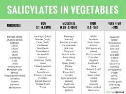 I woul d also 1 i ke to thank r. Salicylate Intolerance The Complete Guide List Of Foods