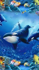 Beautify your iphone with a wallpaper from unsplash. Killer Whale Wallpaper Iphone There Is A Possibility That The Size Does Not Fit Well When It Is Set To Kranjang Amoh