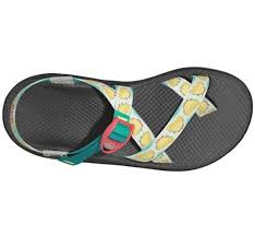 Taco Chacos I Think Yes Chaco Shoes Sock Shoes Chacos Sandals