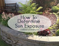 Full sun and full shade are the two easiest lighting situations to determine based on whether they receive six or more hours of direct sun or no sun, informs better homes & gardens. How Much Sun Does My Garden Get The Ultimate Sun Exposure Guide Outdoor Gardens Garden Lawn And Garden