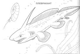 Pin By Tiger Henry On Coloring Pages Shark Coloring Pages Coloring Pages Dinosaur Coloring