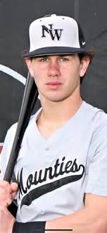 Meet the 2023 MLive baseball Dream Team for the Jackson-area